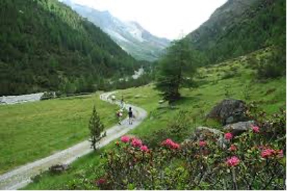 Alta Valtellina, Parco Nazionale dello Stelvio